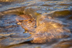 Волны воды созданные течением реки на утесе стоковое фото rf Волны воды созданные течением реки на утесе стоковое фото rf