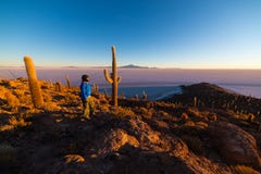 Восход солнца туриста наблюдая над квартирой соли Uyuni, Боливией стоковые фотографии rf Восход солнца туриста наблюдая над квартирой соли Uyuni, Боливией стоковые фотографии rf