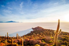 Восход солнца над incahuasi острова озером соли Uyuni в Боливии стоковые фото Восход солнца над incahuasi острова озером соли Uyuni в Боливии стоковые фото