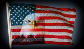 Всегда блюстительная американского предпосылка флага и белоголового орлана темная стоковая фотография Всегда блюстительная американского предпосылка флага и белоголового орлана темная стоковая фотография