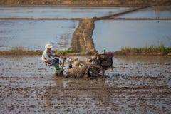 Въетнамское farme едет трактор на 26 из декабря 2013 стоковое фото rf Въетнамское farme едет трактор на 26 из декабря 2013 стоковое фото rf