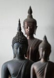 Выберите фокус винтажной черной старой статуи buddhas в середине другой статуи buddhas стоковые изображения Выберите фокус винтажной черной старой статуи buddhas в середине другой статуи buddhas стоковые изображения