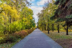 Вымощенный путь с серыми и красными вымощая слябами с группой людей и листьями желтого цвета среди деревьев и кустарниками с крас стоковое фото rf Вымощенный путь с серыми и красными вымощая слябами с группой людей и листьями желтого цвета среди деревьев и кустарниками с крас стоковое фото rf