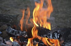 Выравнивать костер в лагере разведчика стоковые изображения Выравнивать костер в лагере разведчика стоковые изображения