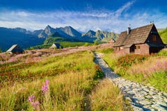 Высокая природа Карпаты Польша ландшафта верхней части гор Tatra Стоковые Изображения Высокая природа Карпаты Польша ландшафта верхней части гор Tatra Стоковые Изображения