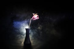 Вянуть роза знаменует потерянную влюбленность, развод, или плохое отношение, умершие подняло на темную предпосылку стоковое фото Вянуть роза знаменует потерянную влюбленность, развод, или плохое отношение, умершие подняло на темную предпосылку стоковое фото