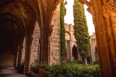 Галерея в аббатстве Bellapais Район Kyrenia, Кипр стоковая фотография rf Галерея в аббатстве Bellapais Район Kyrenia, Кипр стоковая фотография rf