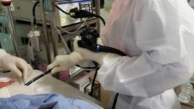 Гастроскопическое выросли рассмотрение белизной врача, который нося стоковая фотография Гастроскопическое выросли рассмотрение белизной врача, который нося стоковая фотография