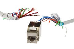 Гнездо сети RJ45 UTP женское погнано 2 кабелями которое выглядеть как щупальца изверга, белой предпосылкой UTP/STP Стоковое Изображение Гнездо сети RJ45 UTP женское погнано 2 кабелями которое выглядеть как щупальца изверга, белой предпосылкой UTP/STP Стоковое Изображение