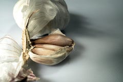 Голова шариков alium sativum чеснока показанная на белой предпосылке Стоковое Изображение Голова шариков alium sativum чеснока показанная на белой предпосылке Стоковое Изображение