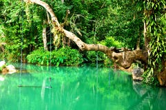 Голубая лагуна в Vang Vieng, Лаосе Стоковые Изображения Голубая лагуна в Vang Vieng, Лаосе Стоковые Изображения