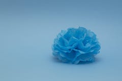 Голубой бумажный pompom для украшения на голубой предпосылке Дом, свадьба, украшение партии Предпосылка в минимальном стиле стоковые изображения Голубой бумажный pompom для украшения на голубой предпосылке Дом, свадьба, украшение партии Предпосылка в минимальном стиле стоковые изображения