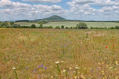 Гора сулоя, центральная богемская зона взгляд городка республики cesky чехословакского krumlov средневековый старый Стоковые Изображения Гора сулоя, центральная богемская зона взгляд городка республики cesky чехословакского krumlov средневековый старый Стоковые Изображения