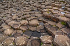 Горные породы на гигантской мощёной дорожке ` s, графстве антриме, Северной Ирландии стоковые изображения rf Горные породы на гигантской мощёной дорожке ` s, графстве антриме, Северной Ирландии стоковые изображения rf