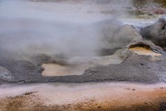 Горячий источник Йеллоустона - конец-вверх - вода бирюзы, желтые пятна бактерий абстракция естественная стоковое фото rf Горячий источник Йеллоустона - конец-вверх - вода бирюзы, желтые пятна бактерий абстракция естественная стоковое фото rf