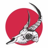 Графический чертеж | Животная голова черепа бесплатная иллюстрация Графический чертеж | Животная голова черепа бесплатная иллюстрация