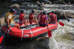 Группа в составе авантюрист наслаждаясь водой сплавляя деятельность на южном реке ошибки стоковые изображения rf Группа в составе авантюрист наслаждаясь водой сплавляя деятельность на южном реке ошибки стоковые изображения rf