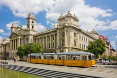 Длинный желтый трамвай в Будапеште стоковая фотография rf Длинный желтый трамвай в Будапеште стоковая фотография rf