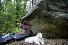 Девушка альпиниста утеса на валуне Весьма взбираться спорта Свобода стоковая фотография Девушка альпиниста утеса на валуне Весьма взбираться спорта Свобода стоковая фотография