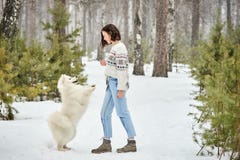 Девушка в лесе зимы идя с собакой Снежок падает стоковая фотография Девушка в лесе зимы идя с собакой Снежок падает стоковая фотография