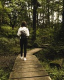 Девушка с рюкзаком идя в лес/девушку с рюкзаком/девушкой идя на тропу в лесе стоковое фото rf Девушка с рюкзаком идя в лес/девушку с рюкзаком/девушкой идя на тропу в лесе стоковое фото rf