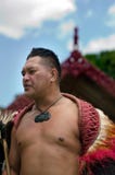 День Waitangi и празднество - праздничный день 2013 Новой Зеландии стоковое фото День Waitangi и празднество - праздничный день 2013 Новой Зеландии стоковое фото