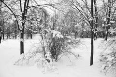 День снега зимы Москвы России в парке города стоковое фото День снега зимы Москвы России в парке города стоковое фото