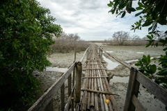 Деревенский бамбуковый мост около гаваней Бали Benoa Оно нет подключить с везде, как раз место для людей которые хотят рыбную лов стоковое фото rf Деревенский бамбуковый мост около гаваней Бали Benoa Оно нет подключить с везде, как раз место для людей которые хотят рыбную лов стоковое фото rf