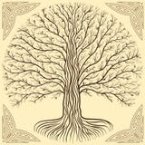 Дерево Druidic Yggdrasil, круг, коричневый логотип Готический старый стиль книги бесплатная иллюстрация Дерево Druidic Yggdrasil, круг, коричневый логотип Готический старый стиль книги бесплатная иллюстрация