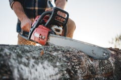 Дерево sawing рубашки шотландки бородатого сильного lumberjack нося с цепной пилой для работы на лесопилке стоковое фото rf Дерево sawing рубашки шотландки бородатого сильного lumberjack нося с цепной пилой для работы на лесопилке стоковое фото rf