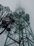 Дерево на предпосылке башни высокого металла в тумане стоковое изображение rf Дерево на предпосылке башни высокого металла в тумане стоковое изображение rf