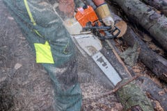 Деревья вырезывания Lumberjack с цепной пилой стоковые фотографии rf Деревья вырезывания Lumberjack с цепной пилой стоковые фотографии rf