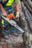 Деревья вырезывания Lumberjack с цепной пилой стоковое изображение Деревья вырезывания Lumberjack с цепной пилой стоковое изображение