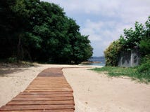 Деревянная дорожка над песчанными дюнами к paradisiacal пляжу между зелеными деревьями стоковые фото Деревянная дорожка над песчанными дюнами к paradisiacal пляжу между зелеными деревьями стоковые фото