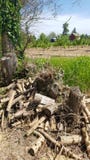 Деревянная куча стоковое фото Деревянная куча стоковое фото