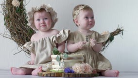 Дети в сладостном вкусном торте в студии на photoshoot на предпосылке стены с оформлением видеоматериал Дети в сладостном вкусном торте в студии на photoshoot на предпосылке стены с оформлением видеоматериал