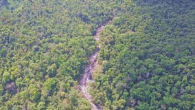 Джунгли панорамного взгляда неоглядные под убийственным солнцем Джунгли панорамного взгляда неоглядные под убийственным солнцем