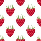Картина поленики вектора безшовная на белизне Дизайн предпосылки для помадок и печениь заполненных с поленикой, десертным меню, з иллюстрация штока Картина поленики вектора безшовная на белизне Дизайн предпосылки для помадок и печениь заполненных с поленикой, десертным меню, з иллюстрация штока