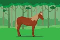 Дикая лошадь в джунглях самостоятельно с лесом дерева как предпосылка бесплатная иллюстрация Дикая лошадь в джунглях самостоятельно с лесом дерева как предпосылка бесплатная иллюстрация
