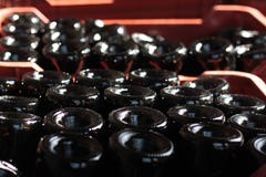 Дн бутылок вина закрывают вверх, макрос бутылок вина стоковые изображения Дн бутылок вина закрывают вверх, макрос бутылок вина стоковые изображения