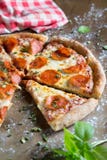 добавил полностью легко editable пиццу pepperoni слоев архива eps8 отдельно стоковая фотография rf добавил полностью легко editable пиццу pepperoni слоев архива eps8 отдельно стоковая фотография rf