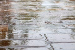 Дождевые капли Splattering на плитках палубы бассейна Стоковые Изображения RF Дождевые капли Splattering на плитках палубы бассейна Стоковые Изображения RF