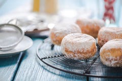 Домодельные свежие donuts на охлаждая подносе стоковые фото Домодельные свежие donuts на охлаждая подносе стоковые фото