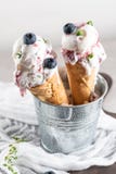 Домодельное мороженое голубик в конусах waffle и свежем blueber стоковые изображения Домодельное мороженое голубик в конусах waffle и свежем blueber стоковые изображения