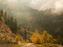 Дорога в лесе осени с деревьями с желтой листвой и облаками на острове Evia, Греции стоковое фото Дорога в лесе осени с деревьями с желтой листвой и облаками на острове Evia, Греции стоковое фото