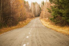 Дорога в лесе осени чуть-чуть желтые деревья и дорога выходя за поворотом Стоковая Фотография Дорога в лесе осени чуть-чуть желтые деревья и дорога выходя за поворотом Стоковая Фотография