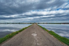 Дорога в середине затопленных полей риса стоковые фото Дорога в середине затопленных полей риса стоковые фото