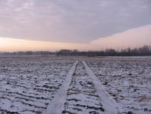 Дорога через пустое поле, трассировки автомобиля стоковые изображения Дорога через пустое поле, трассировки автомобиля стоковые изображения