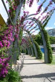 Дорожка через Southbank Брисбена стоковое изображение rf Дорожка через Southbank Брисбена стоковое изображение rf
