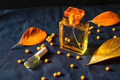 Духи флакона духов и золота на черной предпосылке стоковое изображение rf Духи флакона духов и золота на черной предпосылке стоковое изображение rf